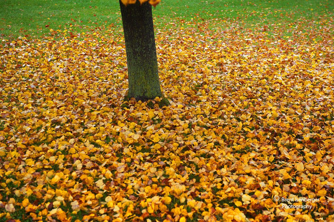 Isenphoto_215