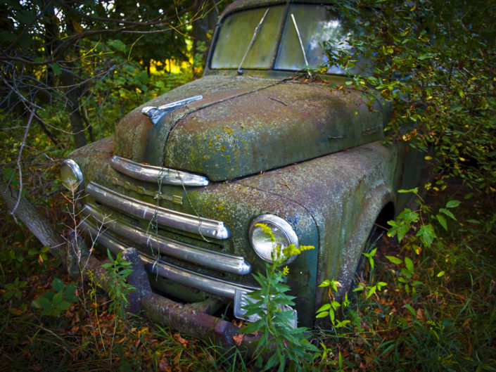 Truck in the trees
