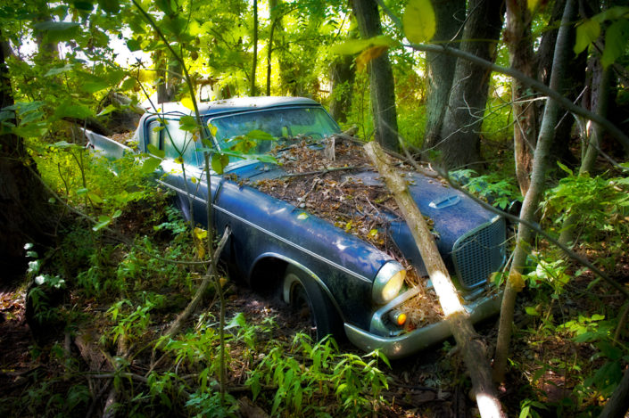 Studebaker forgetten in the woods