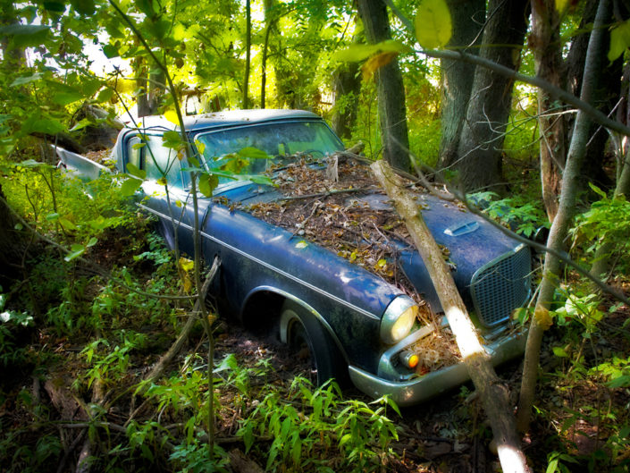 Studebaker forgetten in the woods