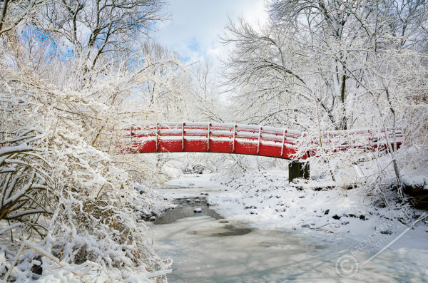 Winter Scene 507