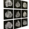 Leaf mural - Image 3