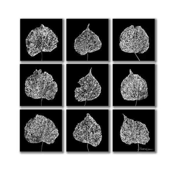 Leaf mural